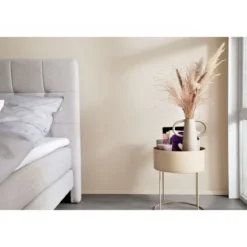 Schöner Wohnen Farbe Trendfarbe Cosy matt 2,5 L