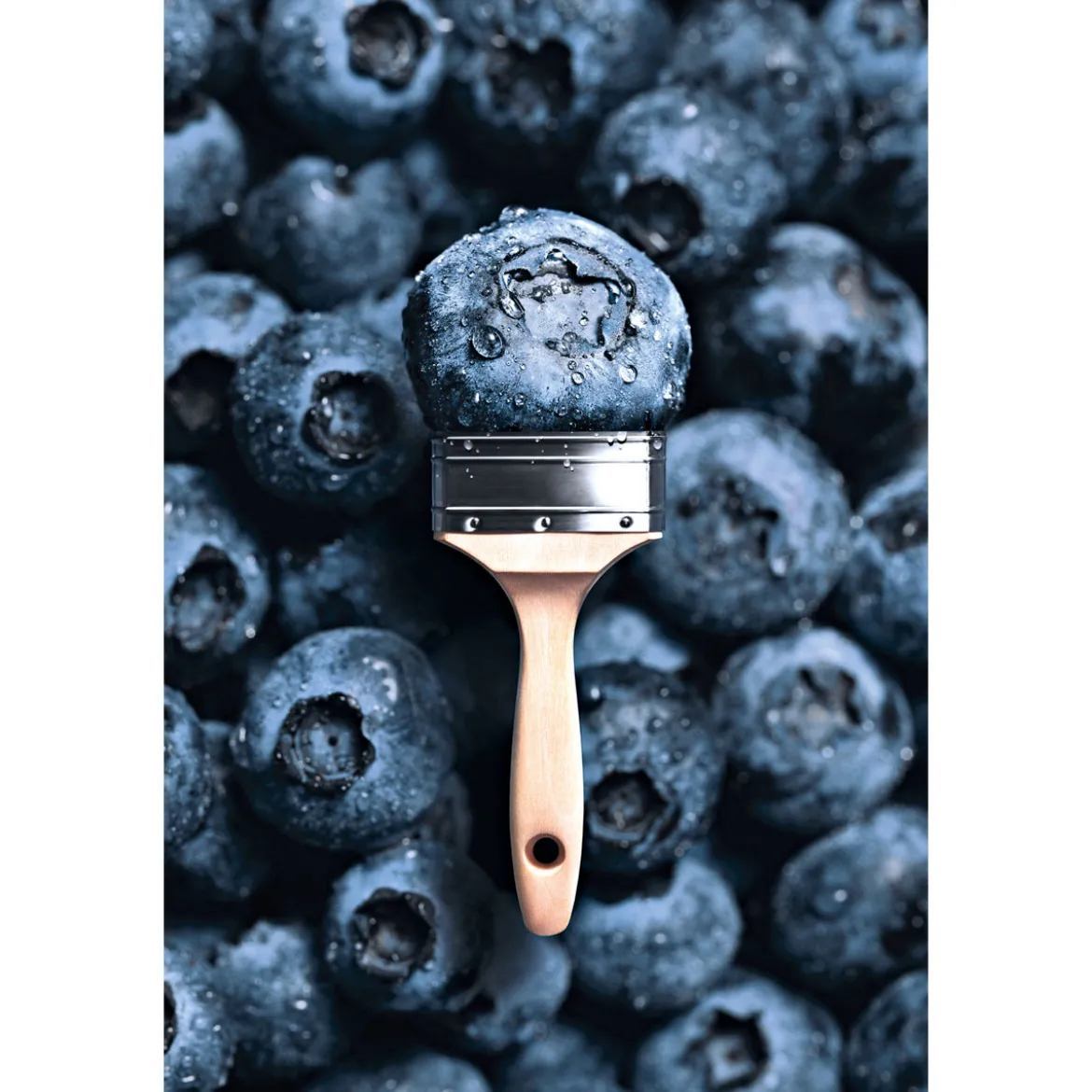 Schöner Wohnen Farbe Trendfarbe Blueberry 1 L