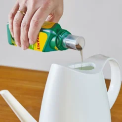 Seramis Vitalnahrung für Kakteen und Sukkulenten 200 ml