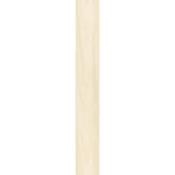 Specht Ambiente Paneel 10mm Birke hell