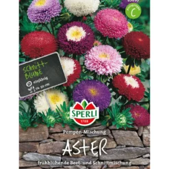 Sperli Astern Pompon Mischung