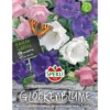 Sperli Glockenblume ngs Empito Mischung