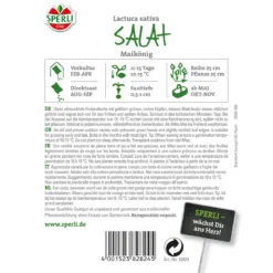 Sperli Kopfsalat Maikönig