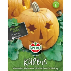 Sperli Kürbis Tom Fox