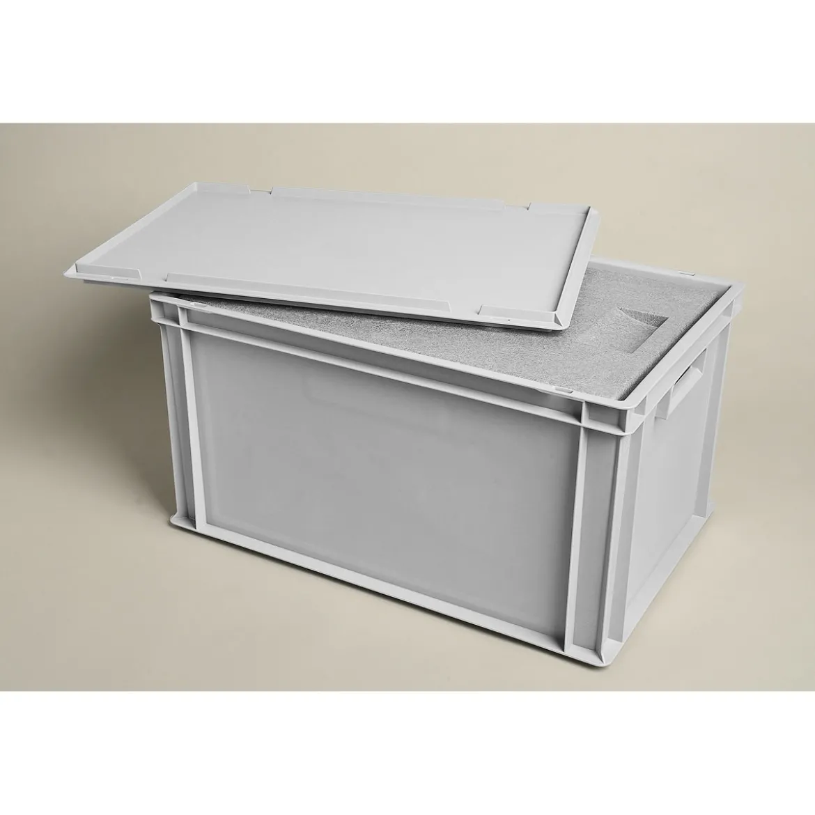 Thermobox mit Deckel 54,5 x 35 x 30 cm
