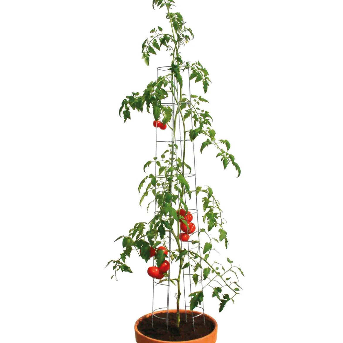 Tomatenturm 180 cm