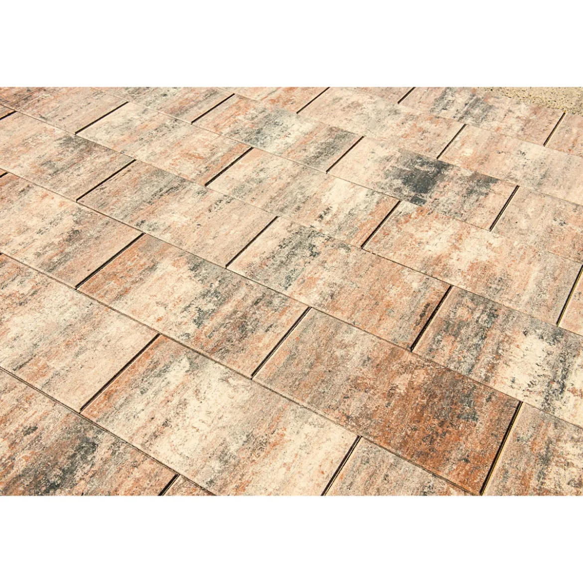 TP No. 1 Nature Muschelbeige 50x50x4 cm