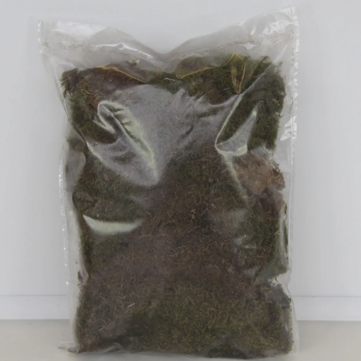Trixie Terrarien-Moos 0,2 kg