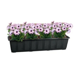 Untersetzer Aqua Green Plus anthrazit 60 cm