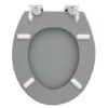 Valblue WC-Sitz Cement Betonoptik MDF-Holzkern Absenkautom. Metallscharn.