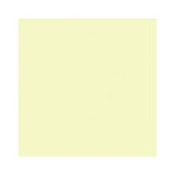 Vincent Wand- und Deckenfarbe Spring 5 L