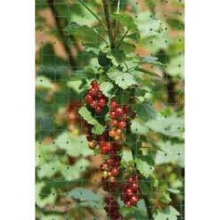Vogelschutz-Netz Ortonet 5 x 2 m