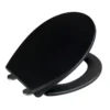 WC-Sitz Ikaria schwarz matt, Duroplast