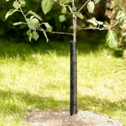 WindhagerBaumschutz-Gitter 55 cm 2 Stück